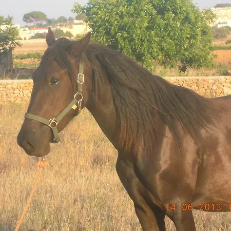 Nocleg ze śniadaniem Vigna La Corte