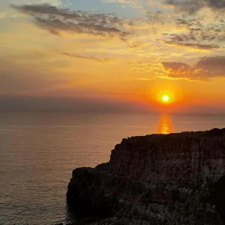 Vigna La Corte Alessano