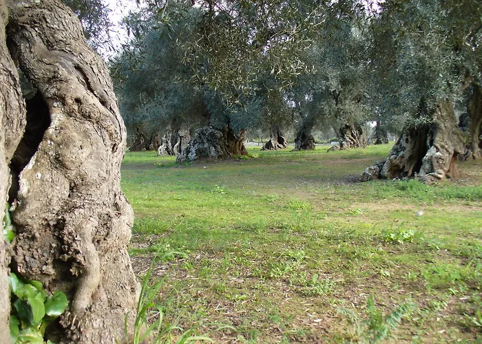 Frühstückspension Vigna La Corte Alessano