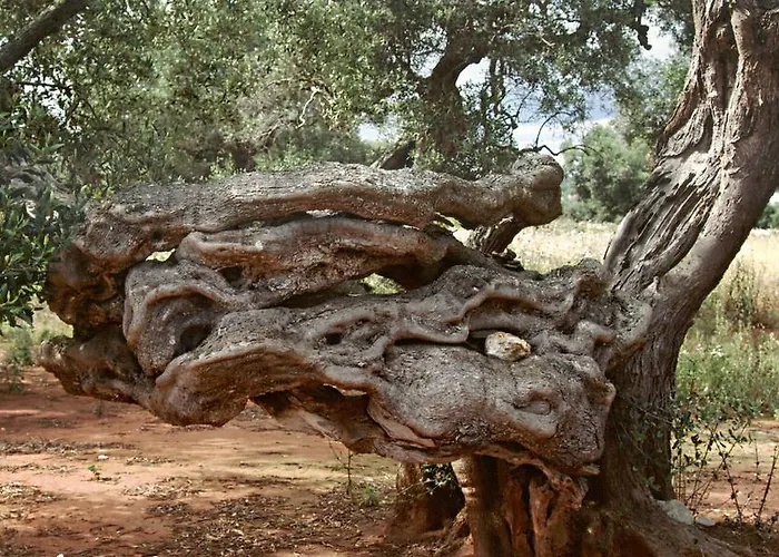 Frühstückspension Vigna La Corte 3*