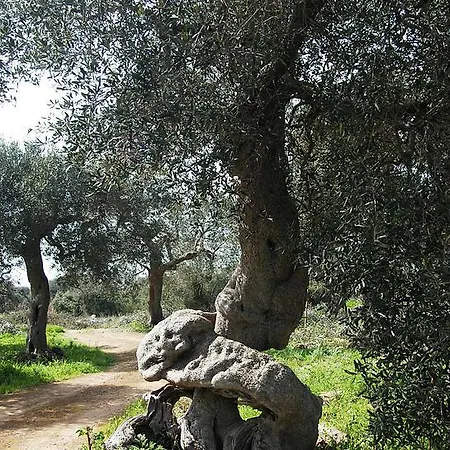 Vigna La Corte Bed & Breakfast