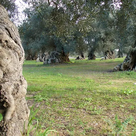 Bed & Breakfast Vigna La Corte Alessano